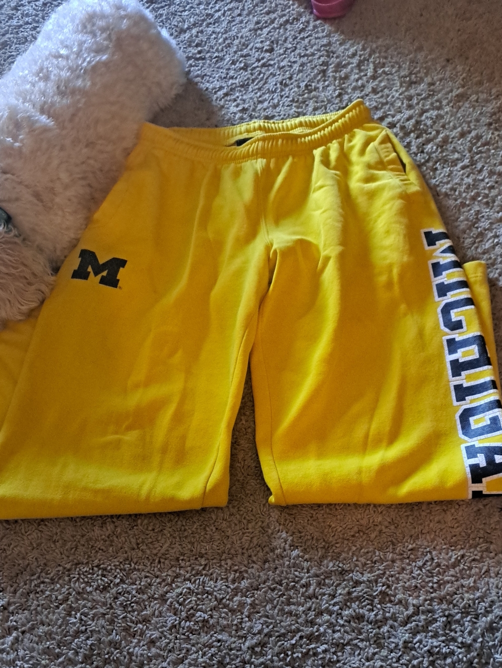 Campus Den Maize University Of Michigan Sweatpants - XL EUC